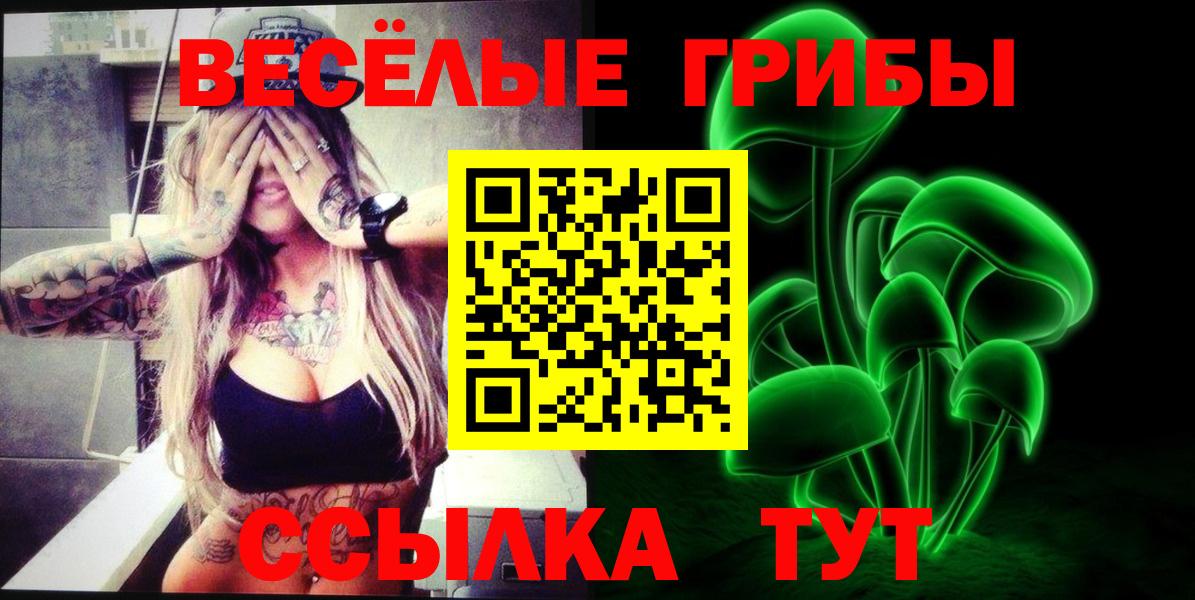 Новомосковск  Галлюциногенные грибы мухоморы  Вход с VPN  Псилоцибиновые грибы Cubensis 